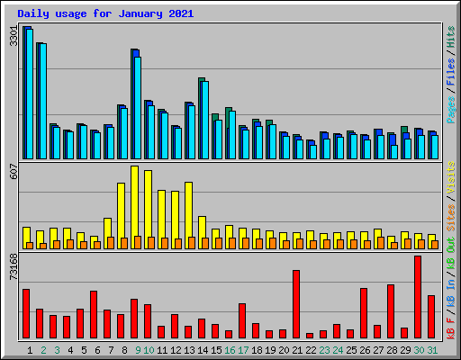 Daily usage for January 2021
