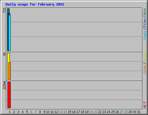 Daily usage for February 2021
