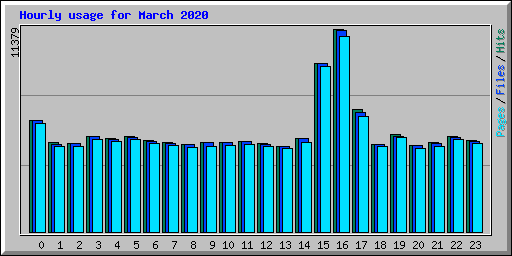 Hourly usage for March 2020