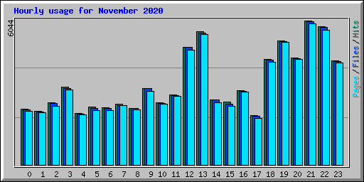 Hourly usage for November 2020