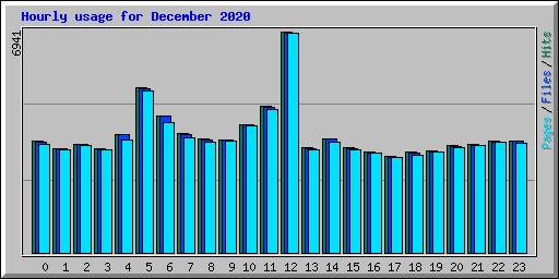 Hourly usage for December 2020