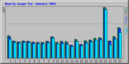 Hourly usage for January 2021