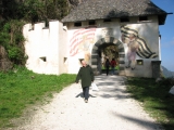 IMG 1623