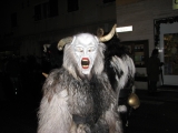 img 0251